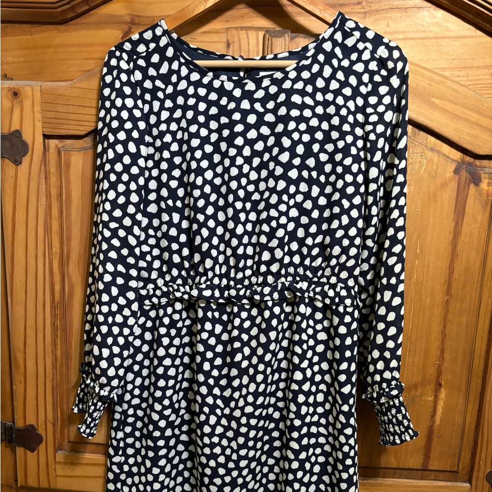 J. Crew Factory Dress